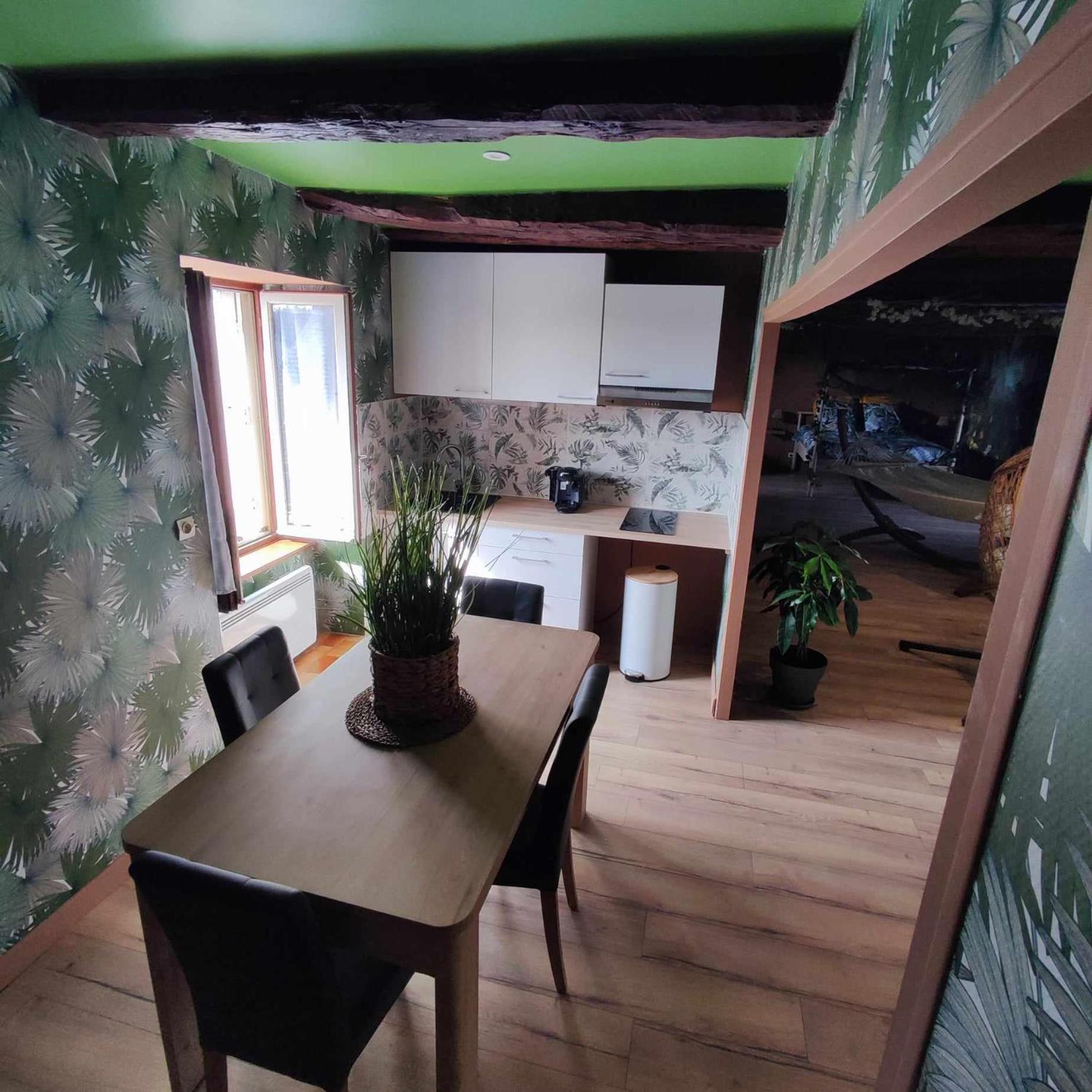 L'evasion Jungle Appartement